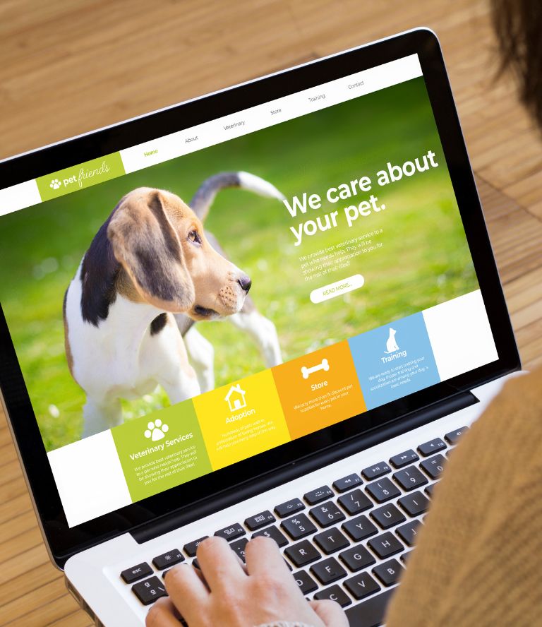 Web design Paddington - local websites by IT Inspire